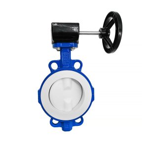 concentric-butterfly-valve-01